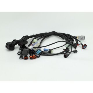 MAIN AND CHARGING WIRING HARNESS SET